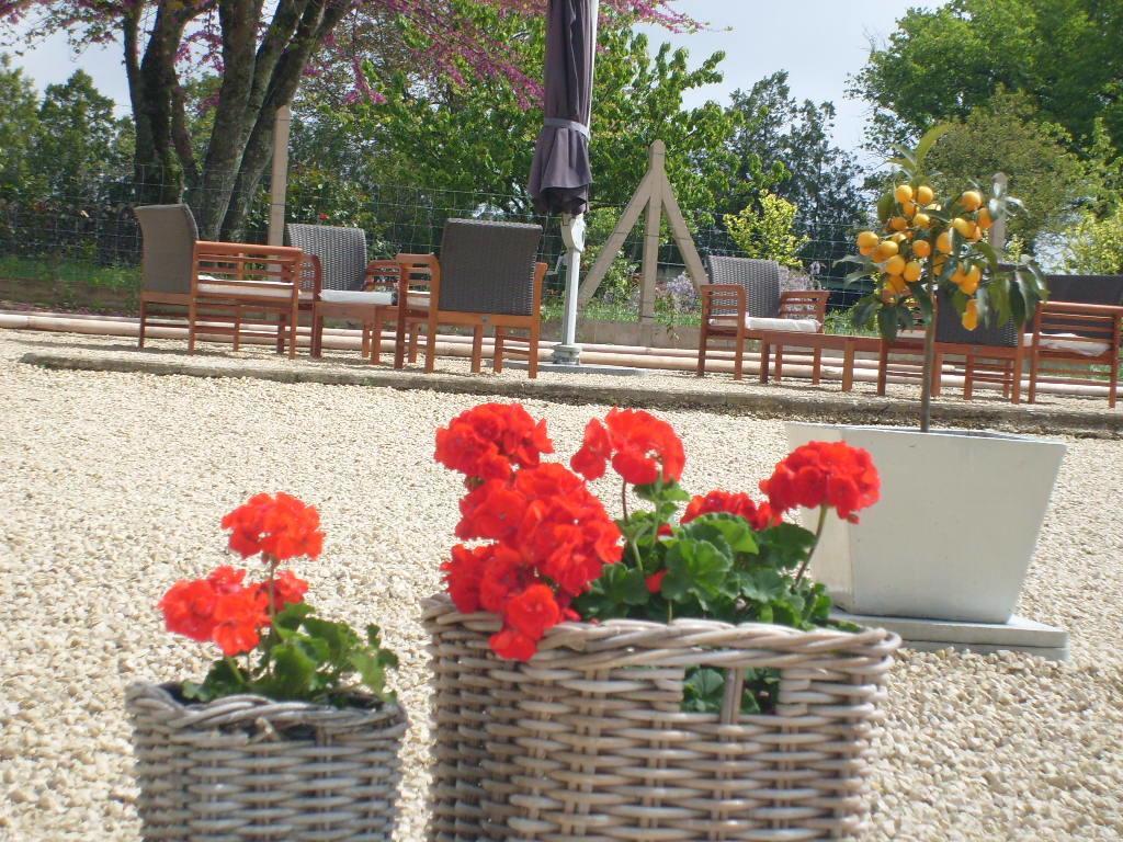 Bed and breakfast La Grange de Gournay Extérieur photo
